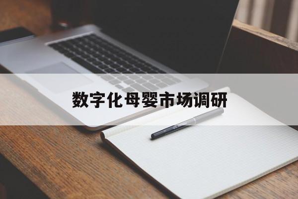 定西市数字化母婴市场调研(数字化母婴市场调研报告)