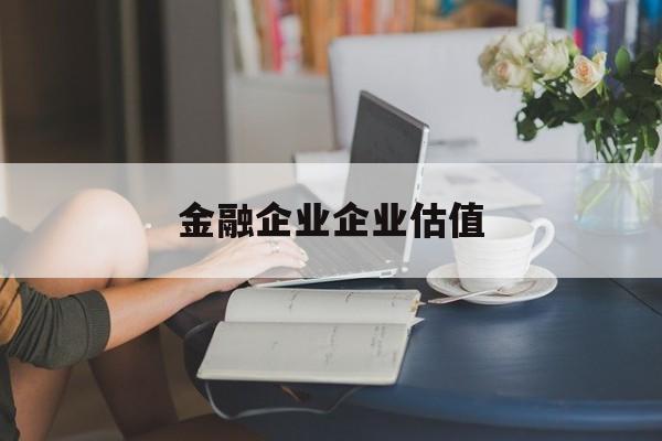 定西市金融企业企业估值(最新企业估值怎么填)